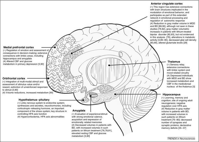 How to Memorize Drugs and Mechanisms in Pharmacology image 2