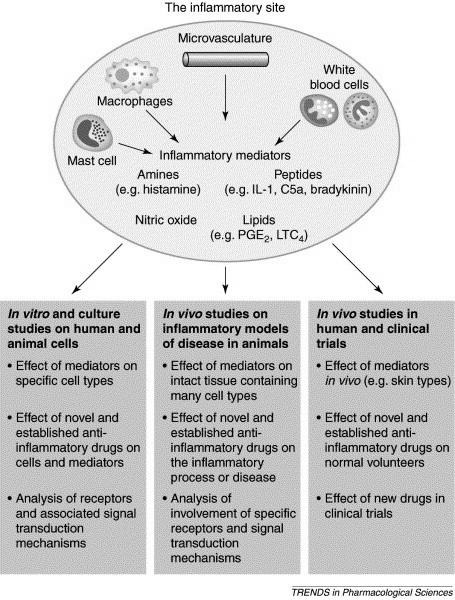Importance of Pharmacology image 3
